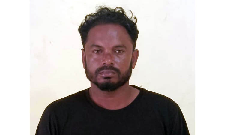 নবীনগরে বন্ধুকে গলা কেটে হত্যা করে থানায় আত্মসমর্পণ