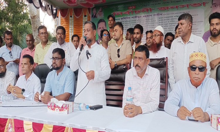 রাষ্ট্র মেরামতের ৩১ দফা বাস্তবায়নে মোংলায় বিএনপির জনসভা