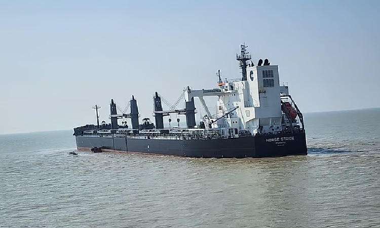 দেড় বছর পর যুক্তরাষ্ট্র থেকে এল গমের জাহাজ
