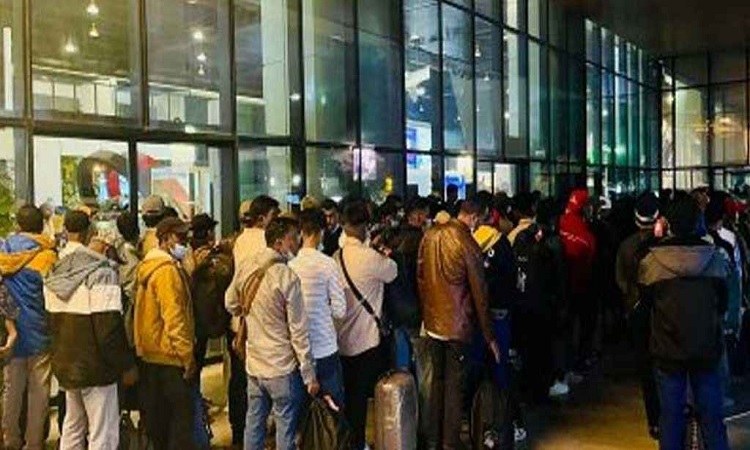 লিবিয়া থেকে দেশে ফিরলেন ১৭৪ বাংলাদেশি