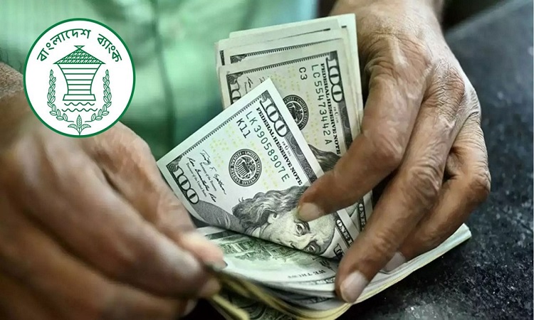 ২৮ দিনে রেমিট্যান্স এলো ২৩৪ কোটি ডলার