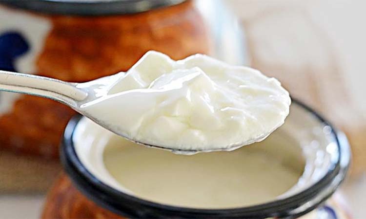 সকালে টক দই খাওয়ার আশ্চর্য উপকারিতা