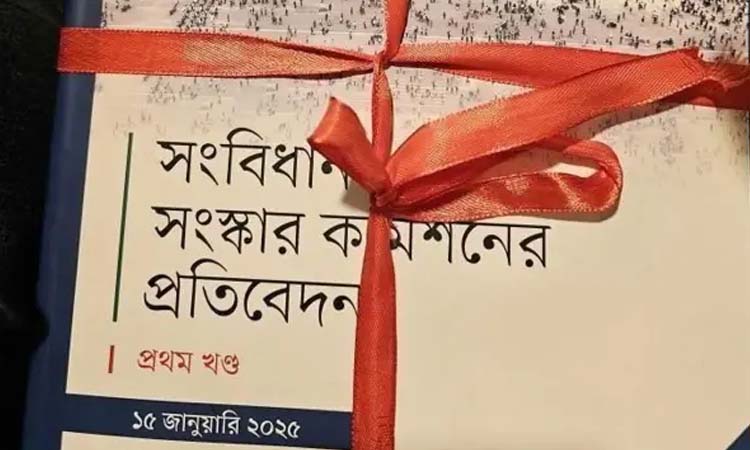 জুলাই সনদ বাস্তবায়ন আদেশে রাষ্ট্রপতির সই