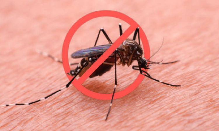 ডেঙ্গুতে আরও ৫ জনের মৃত্যু, হাসপাতালে ১১৩৯