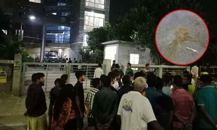 পল্লবী থানার সামনে তিনটি ককটেল বিস্ফোরণ, আহত ৩