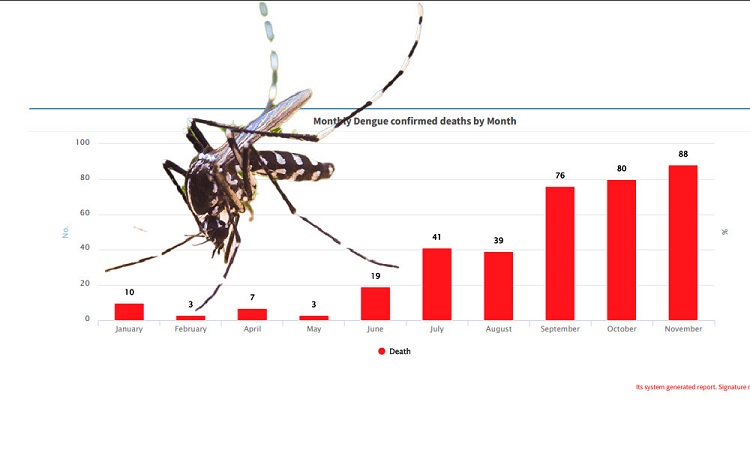 চলতি বছরে এখন পর্যন্ত ডেঙ্গুতে বেশি মৃত্যু নভেম্বরেই