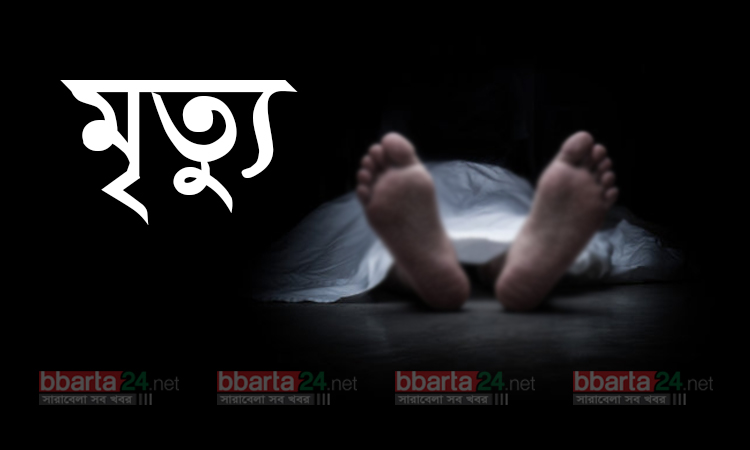 ঝিনাইদহে পৃথক সড়ক দুর্ঘটনায় দু'জন নিহত