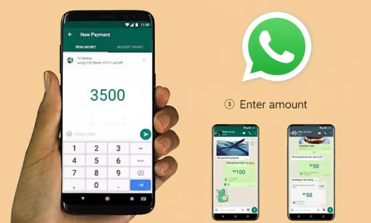 হোয়াটসঅ্যাপ দিয়েই পাঠানো যাবে টাকা