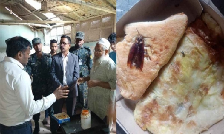 পেটিসে তেলাপোকা, বেকারিকে এক লাখ টাকা জরিমানা