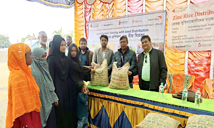 ঠাকুরগাঁওয়ে ৪০০ কৃষকের মাঝে বিনামূল্যে জিংক ধানের বীজ ও প্রশিক্ষণ প্রদান