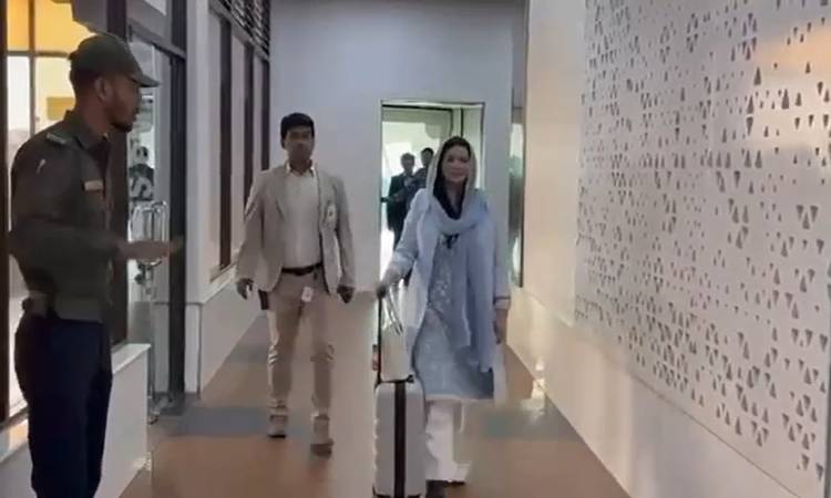 ঢাকায় পৌঁছেছেন ডা. জুবাইদা রহমান