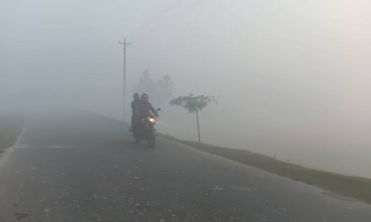 কুড়িগ্রামে ঘন কুয়াশায় বাড়ছে শীতের তীব্রতা, বিপর্যস্ত জনজীবন