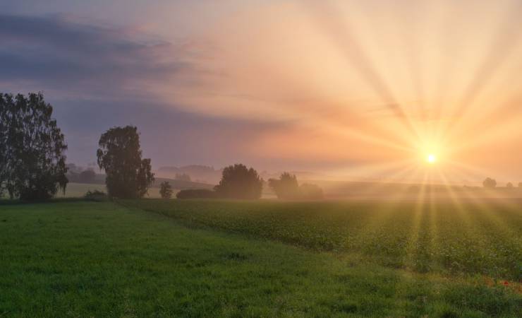 সারাদিন বরকতময় রাখবে সকালের ৪ কাজ