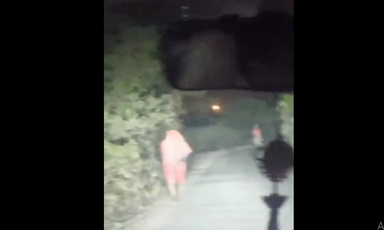 কুষ্টিয়ায় প্রাইভেটকার থামিয়ে ডাকাতি