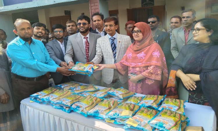 উল্লাপাড়ায় বিনামূল্যে হাইব্রিড ধানের বীজ বিতরণ