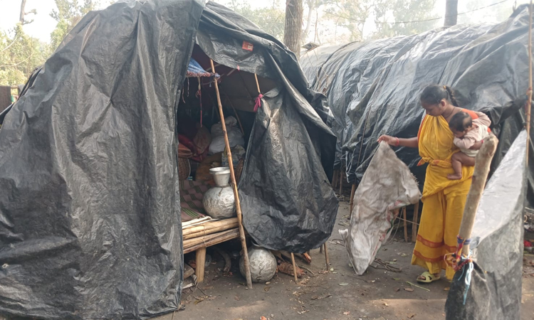 পাংশায় তীব্র শীতে বেদে পল্লীর বাসিন্দাদের মানবেতর জীবন যাপন