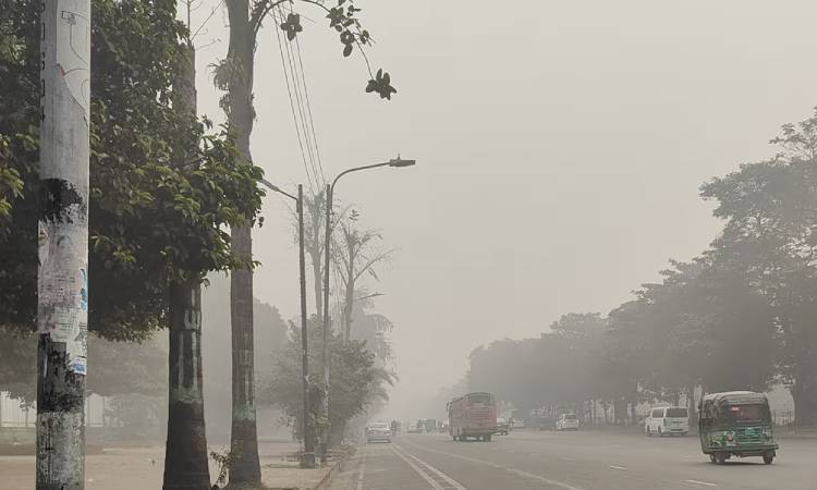 ঢাকায় কমতে পারে কুয়াশা, বাড়বে তাপমাত্রা