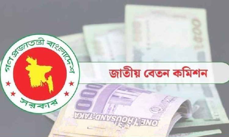 নতুন পে-স্কেল নিয়ে বিপাকে টিআইবি