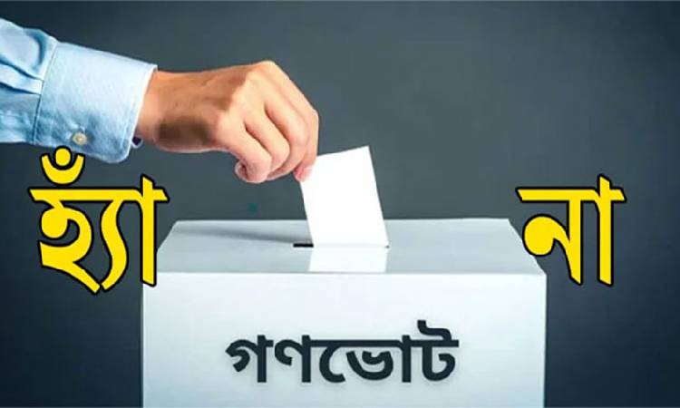 গণভোটে ‘হ্যাঁ’ জিতলে যেসব পরিবর্তন আসতে পারে