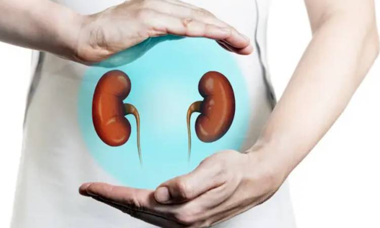 কিডনি পরিষ্কার রাখে যে ৭ খাবার