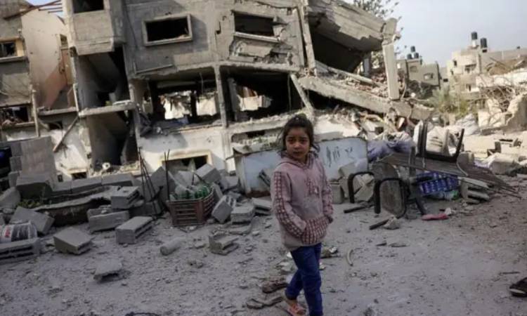 বাস্তুচ্যুত ফিলিস্তিনিদের তাবুতে ইসরায়েলি হামলা, নিহত ৮