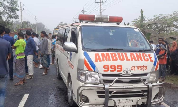 রাজবাড়ীতে ট্রাকচাপায় প্রবাসী নিহত