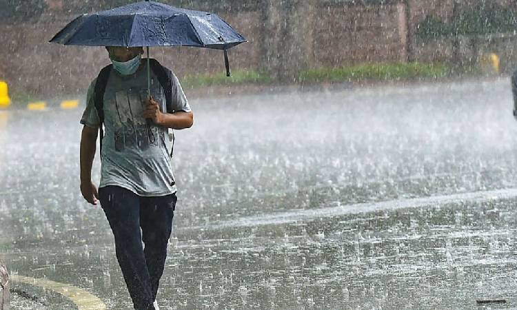 দেশের ৮ বিভাগেই বৃষ্টির আভাস