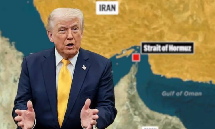 হরমুজ ইস্যুতে আন্তর্জাতিক সহায়তা চান ট্রাম্প, যুদ্ধবিরতিতে অনাগ্রহ