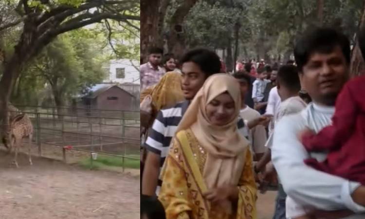 ঈদের দিনে মিরপুর চিড়িয়াখানায় দর্শনার্থীদের ঢল