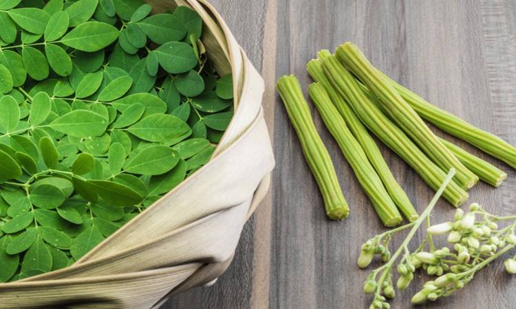 ৩০০ রোগের প্রতিষেধক সজনে পাতা