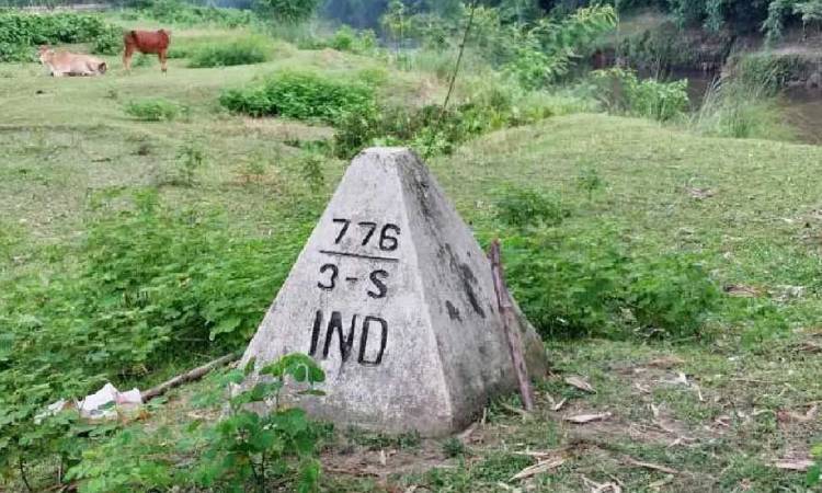 বাংলাদেশ সীমান্তে বেড়া নির্মাণে সিদ্ধান্ত পশ্চিমবঙ্গের