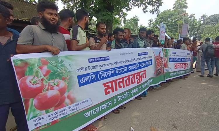 বিদেশি টমেটো আমদানি বন্ধের দাবিতে পঞ্চগড়ে কৃষকদের মানববন্ধন