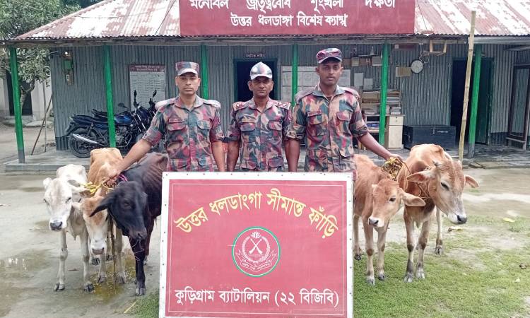 কুড়িগ্রাম সীমান্তে এক মাসে ১ কোটি ৭১ লাখ টাকার ভারতীয় পণ্য ও মাদক জব্দ
