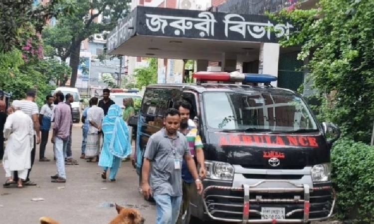 ব্রাহ্মণবাড়িয়ায় পিকআপ ভ্যানের ধাক্কায় ৩ জন নিহত