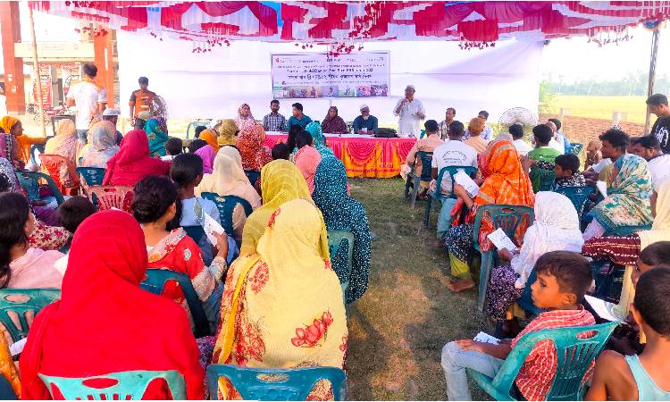 ঠাকুরগাঁওয়ে ব্রি ধান-১০২ চাষে কৃষকদের উদ্বুদ্ধ করতে মাঠ দিবস