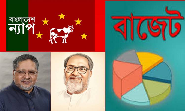বাজেটে গরিবের উপর করের বোঝা চাপাবেন না: সরকারকে ন্যাপ