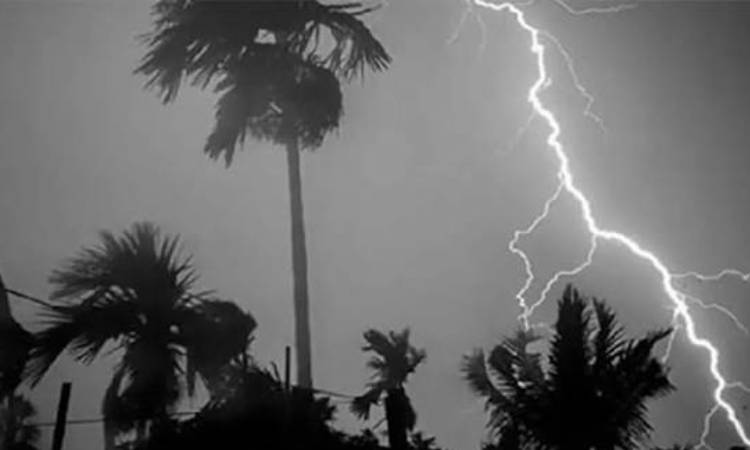 ১০ জেলায় রাতের মধ্যে বজ্রবৃষ্টির পূর্বাভাস