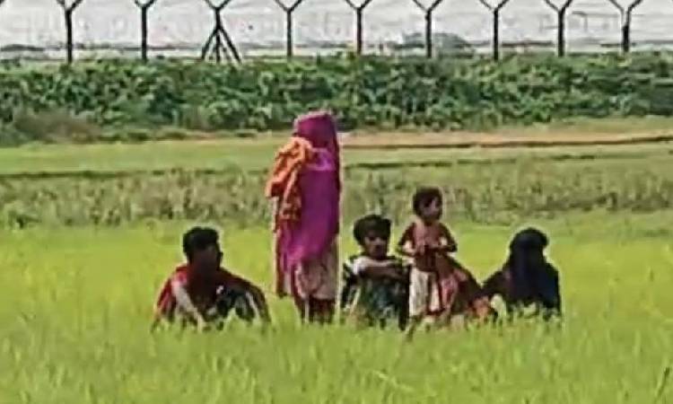 কুড়িগ্রাম সীমান্তে ৯ জনকে পুশইনের চেষ্টা, সতর্ক অবস্থানে বিজিবি