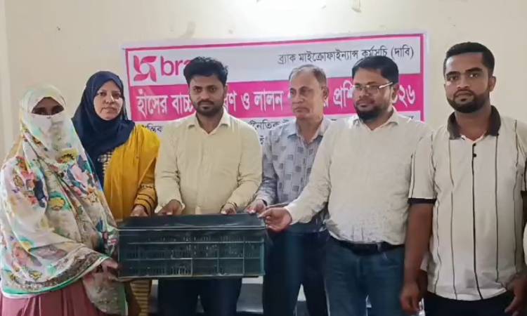 শিবপুরে চাষীদের মাঝে উন্নত প্রজাতির হাঁসের বাচ্চা বিতরণ