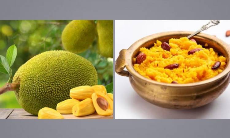 সুস্বাদু কাঁঠালের হালুয়া তৈরির রেসিপি