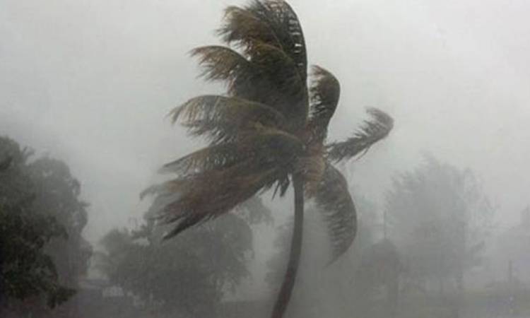 সন্ধ্যার মধ্যে ৯ অঞ্চলে ঝড়-বৃষ্টির পূর্বাভাস