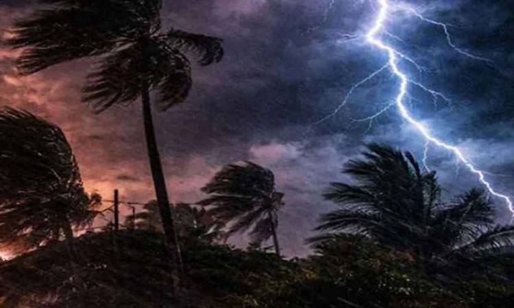 সকালের মধ্যে ১১ জেলায় ঝড়-বৃষ্টির পূর্বাভাস