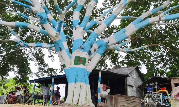 যমুনার চরে ‘আর্জেন্টিনা বটগাছ’
