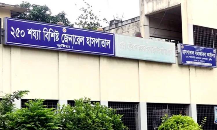 কুষ্টিয়ায় ২ জনকে কুপিয়ে হত্যা