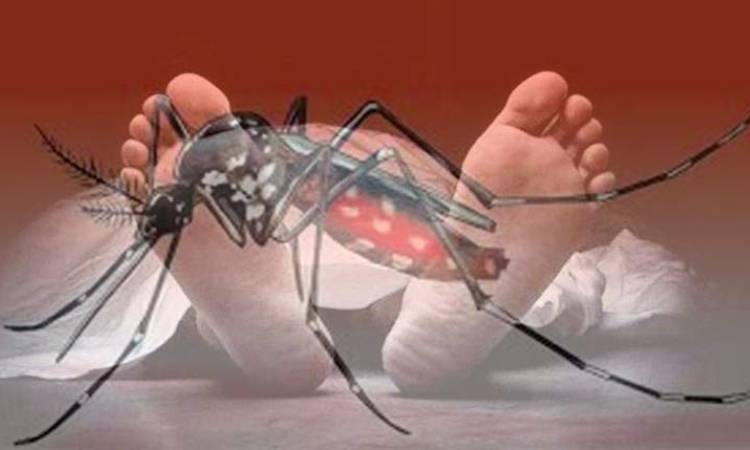 ডেঙ্গুতে একদিনে প্রাণ গেল ৩ জনের