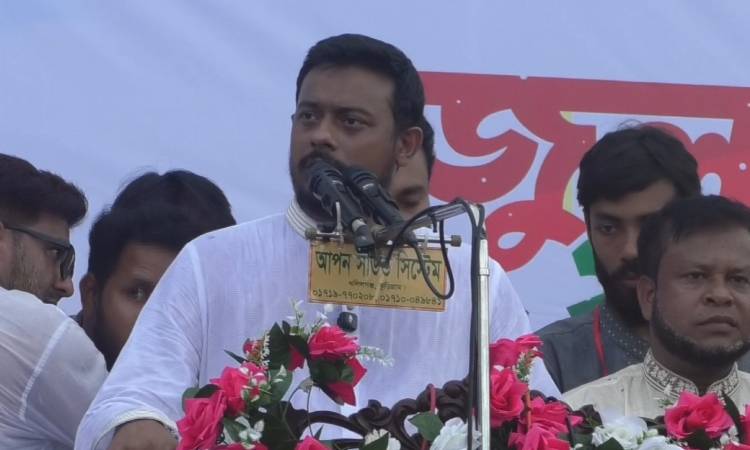 বিএনপি শেখ হাসিনার সংবিধান বাস্তবায়নে কাজ করছে: নাসির উদ্দিন পাটোয়ারী