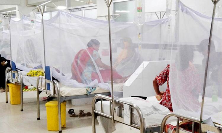 ডেঙ্গুতে একদিনে আরও ৩ জনের মৃত্যু