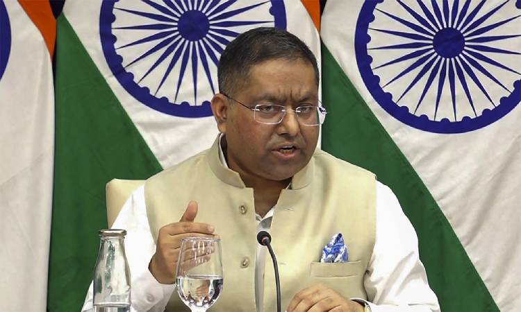 শেখ হাসিনার বক্তব্য দেওয়ার প্রসঙ্গে অবস্থান স্পষ্ট করল ভারত