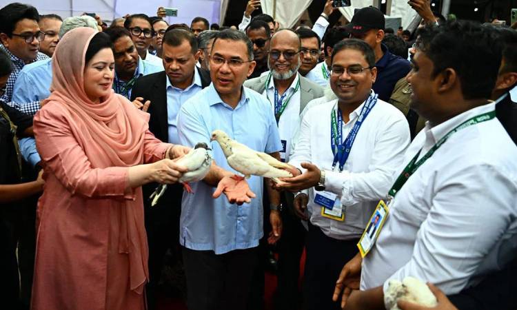 একটি চক্র জ্বালানি খাতকে অস্থিতিশীল করার জন্য সক্রিয়: প্রধানমন্ত্রী