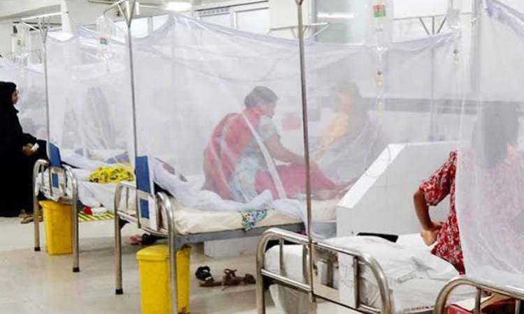 ডেঙ্গুতে প্রাণ গেল আরও ২ জনের, হাসপাতালে ভর্তি ৭৩০